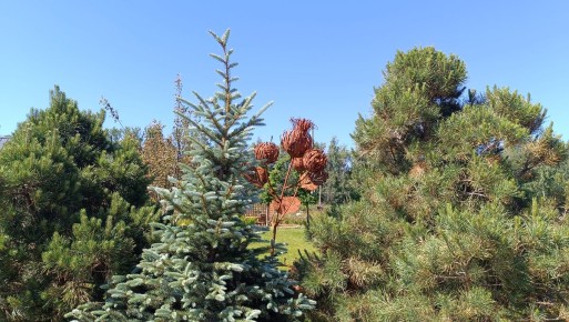 ����� ����� � ���������: ���������� ��������� �������������