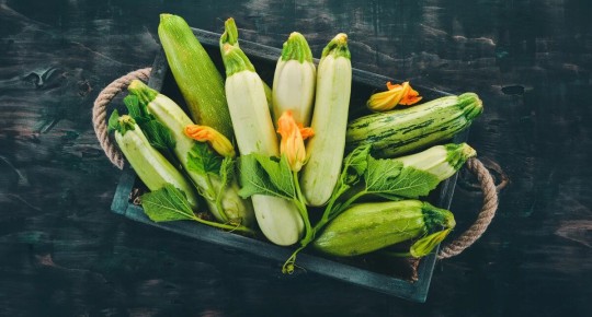 ������ ������: ��� ��������� �������� � �������� ��� ���������� ���������