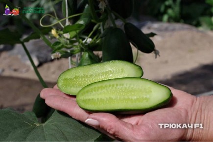 ����������� ������� � ������ ������: ������ ������� ��� ����������� �����