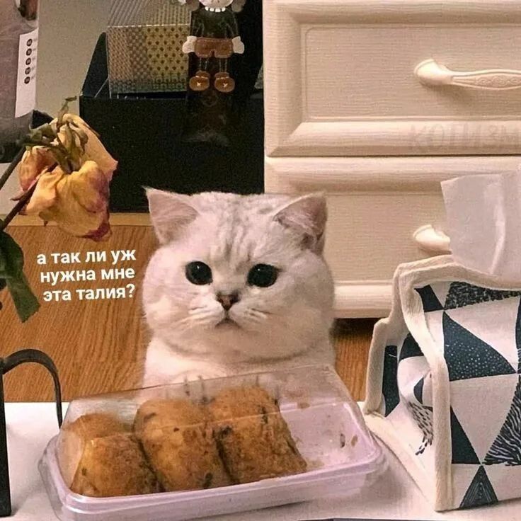 Вечерний голод: как его преодолеть