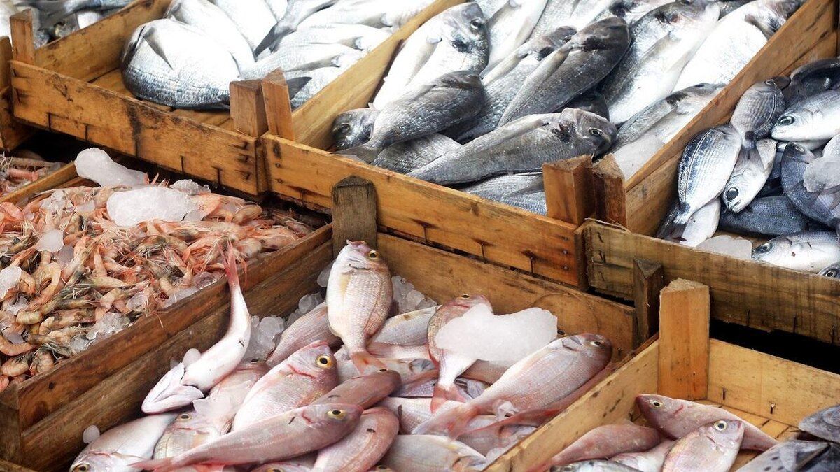Беларусь на коне: как она стала ведущим поставщиком рыбы в Россию