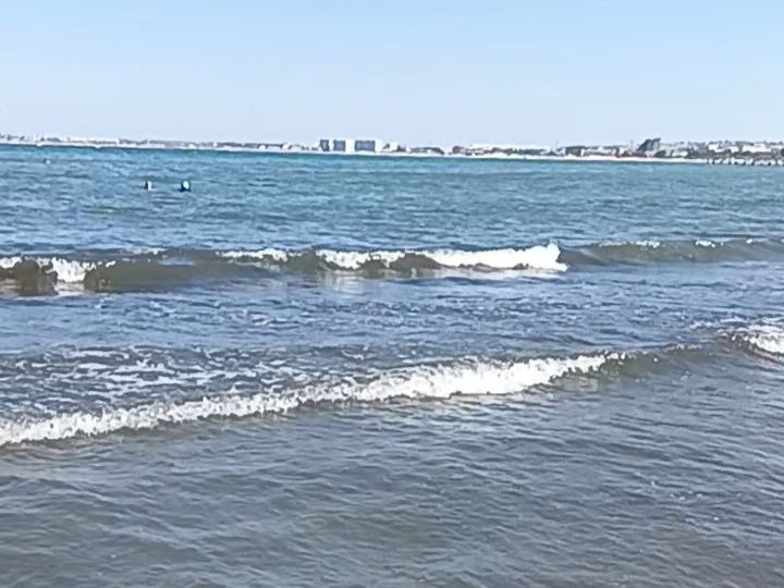 Летние угощения: простые рецепты для жаркой погоды