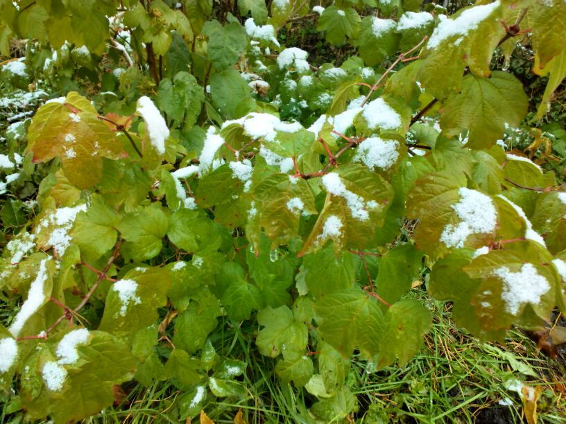 ������� ������� ���������: ��� ��������� ������ �� �����