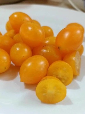 ����� ������� �����������: ����� ����� � �������������� ���� ��� ���������� �������