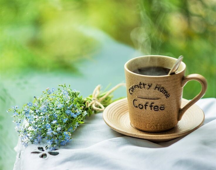 Новая жизнь на горизонте: радостные ожидания Дмитрия и Стеши