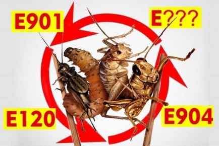 ��������� � ����� ����: �������� ������� ��� ������� ������?