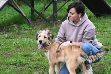 Опасные для питомцев продукты: что нельзя давать домашним животным