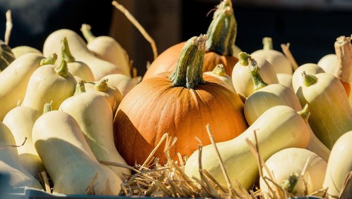 ����� � �������: ��� ������� � �������� ������� ������� ����