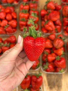 �������� � ������� ����: ������� � ������� ������ �� ����