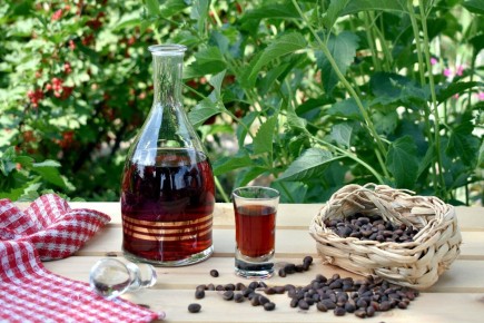 ��� ����������� ��������: ������� ��������� ������ �� �������� ������