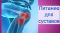 Суставы под защитой: как питание поддерживает здоровье