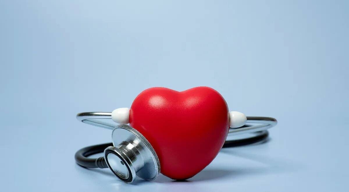 ��������, ������� ����� ��������� ������: ��� ��������� �� �������