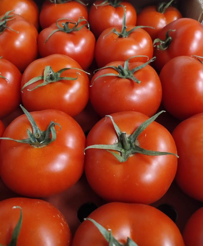 ��� ���������� ������������ ��������: ������ ��� �������� �������