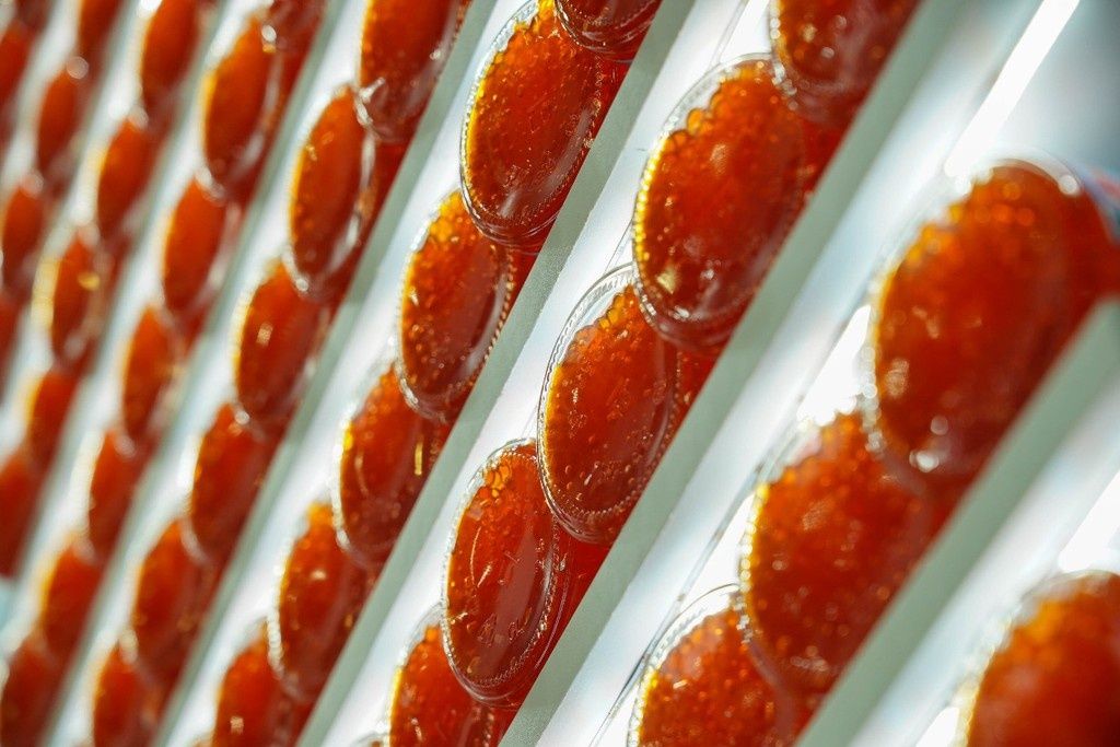 � ������������ ������� ������� �������� ������� ��������