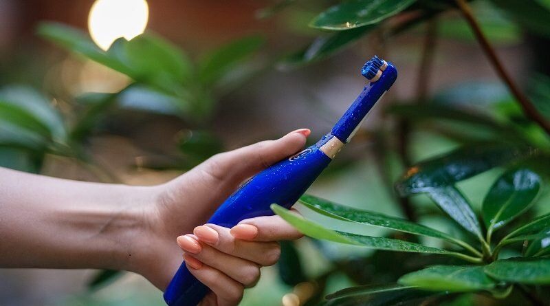 ����� ������ �����: ����� ��� � ����������� ��������