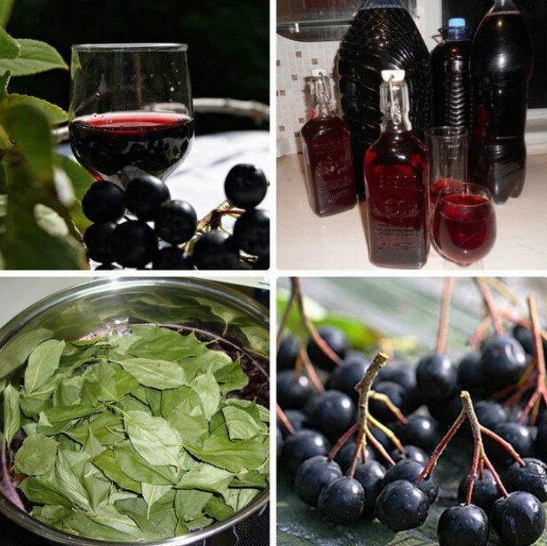 Наливка из черноплодной рябины: три уникальных рецепта для любого повода