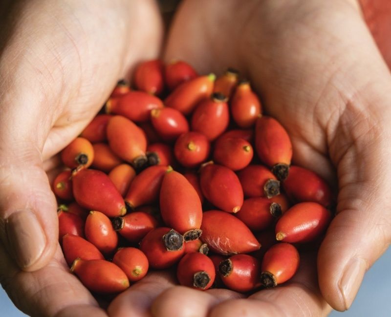 ��������: �������� ��� ���?