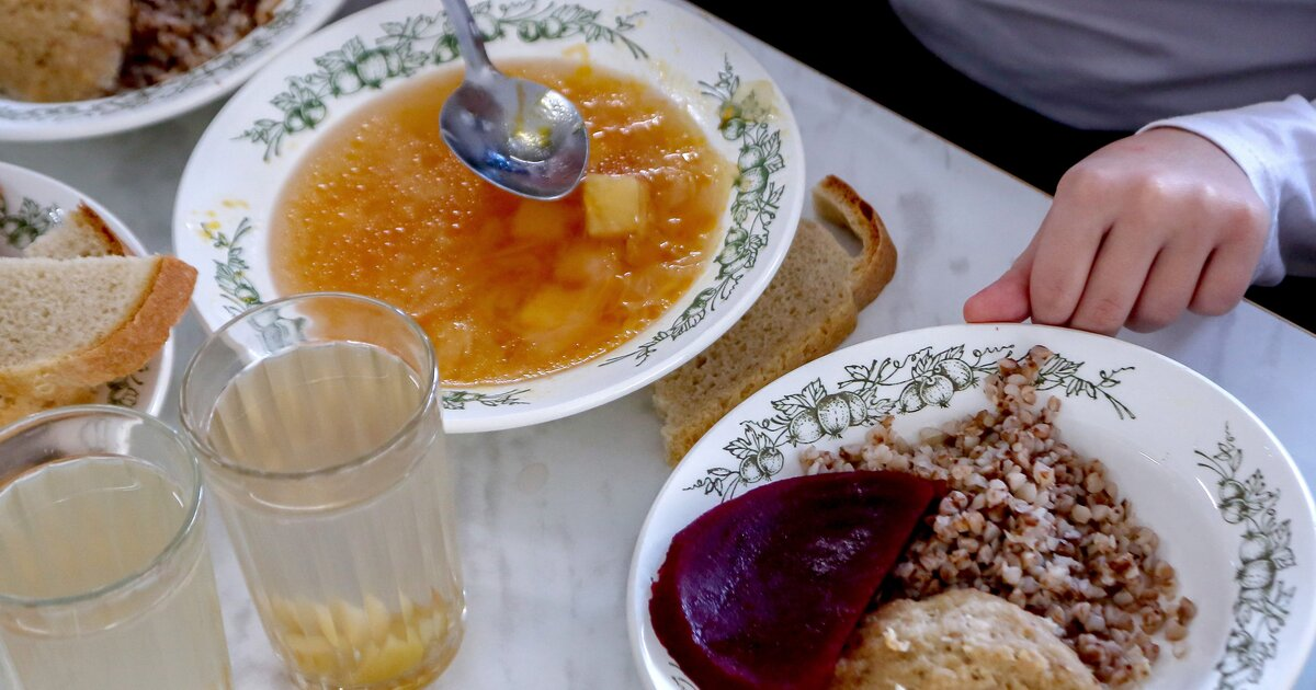 Школьное питание: за 87 рублей может ли обед быть вкусным и здоровым?