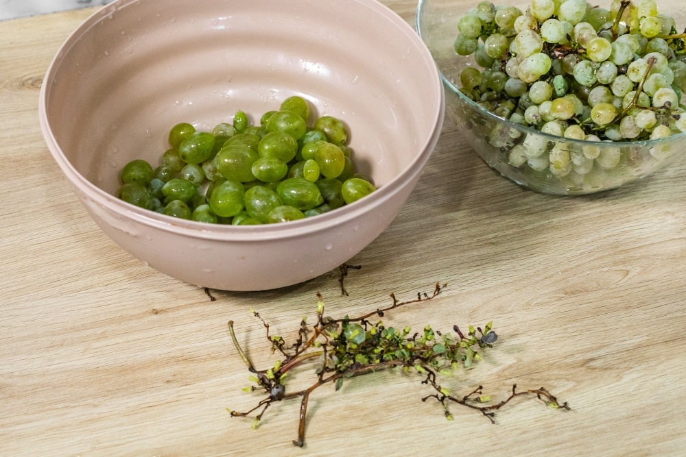 Рецепт домашнего вина из винограда