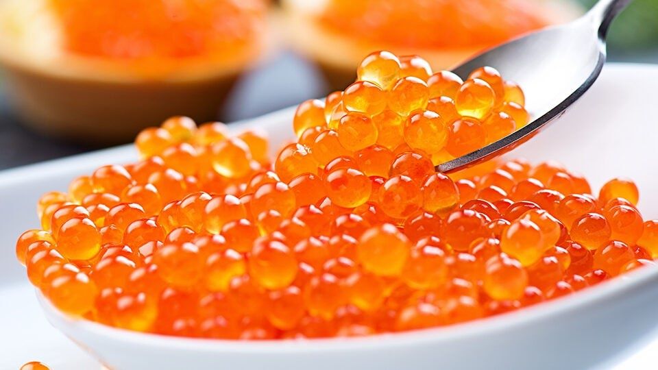 ���� ��� ��������: �������� ������� � ��������� ���������� �����