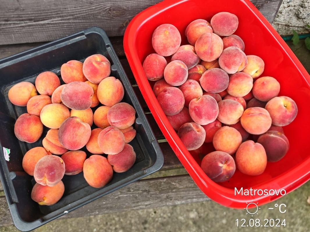 ������ ������ � ��������� � ���������: �������� ��� ���� ���������� �����