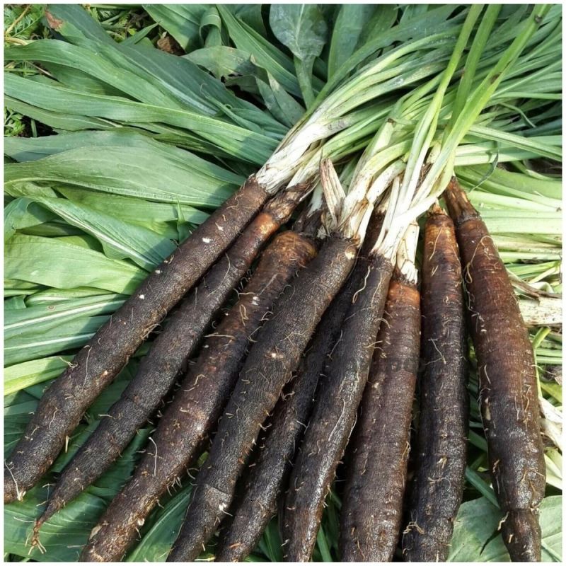 ����� �� ����: ��� �������� �������� ��������� ���� �������