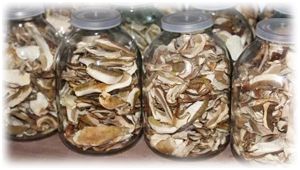 ��� ��������� ������� ������� ����� � �������� ��������