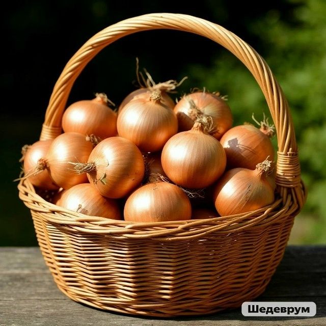 ��� ������� � ������� ���: ������ ��� ��������� �������