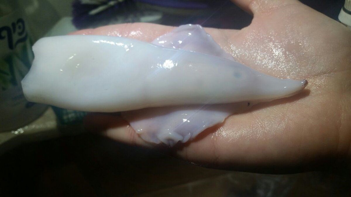 ������ �������� � ��������� ����� � �������