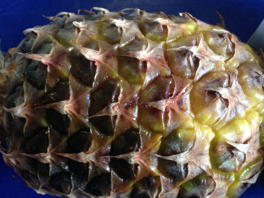 ������ ������ � ���� ���������� ���� ����� �������