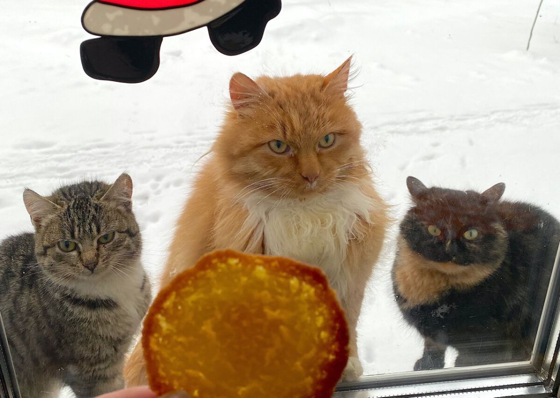 ��� ������� � ������� ���� ����� ������ ������������ �����