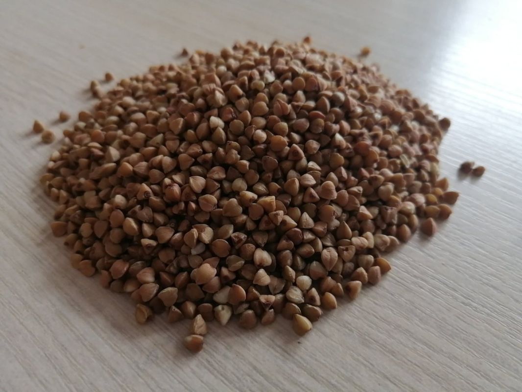 ���� ��� ������: ��� ������� �������� ��� ��������