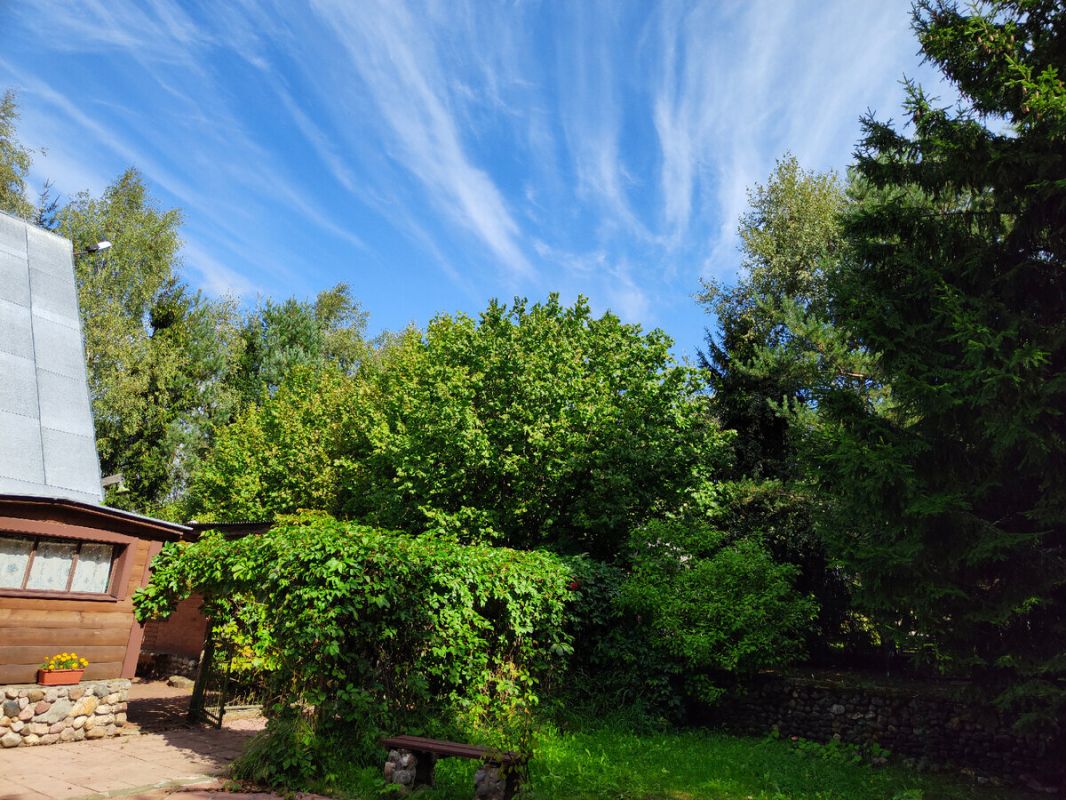 Летние дачные уловки