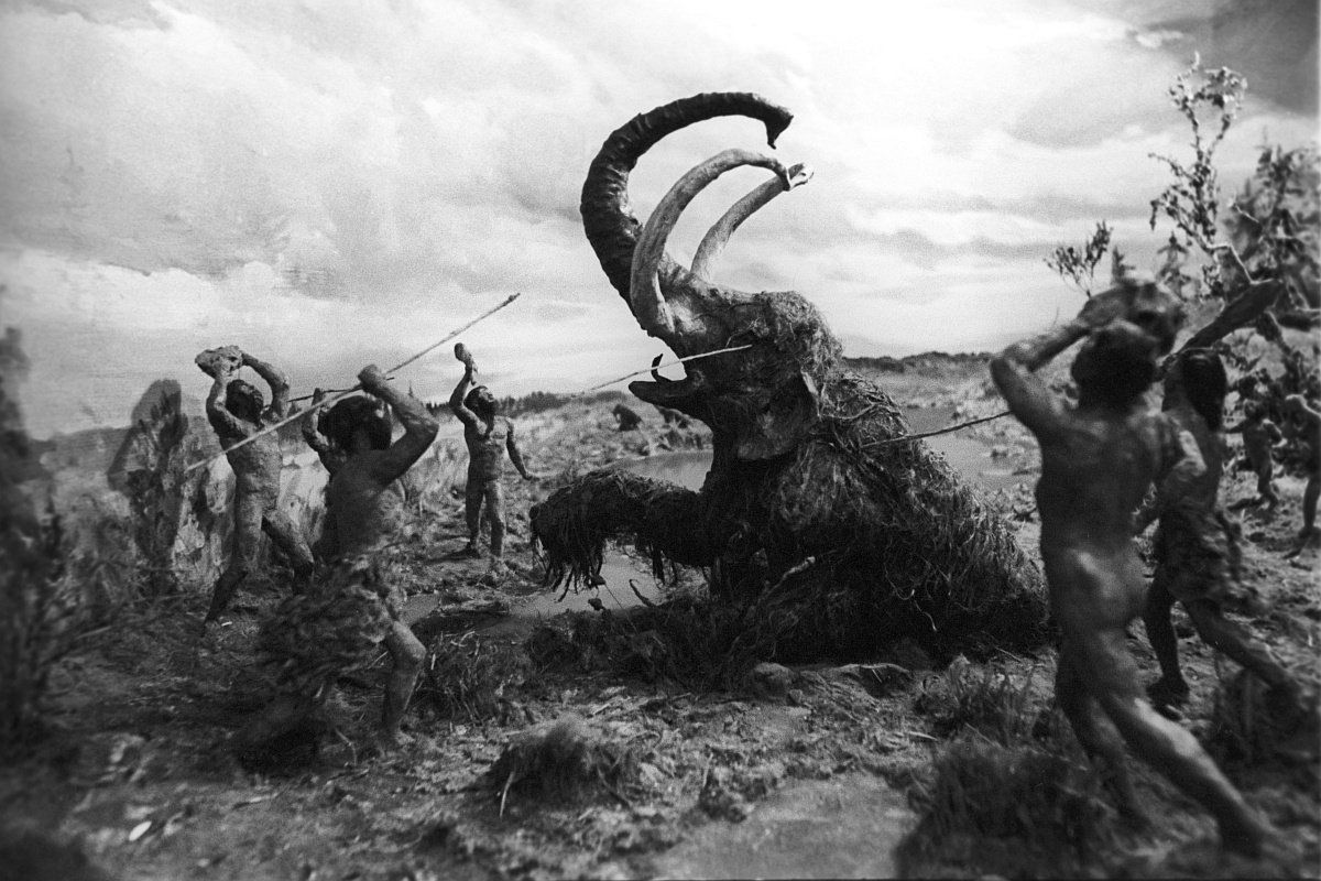 ��� ���� ������ ������� ��� ���������: ���������� ����� �� ������� �������