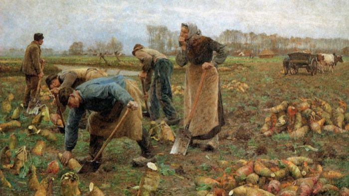 Овощи на Русских Грядках: Традиции Сельского Хозяйства