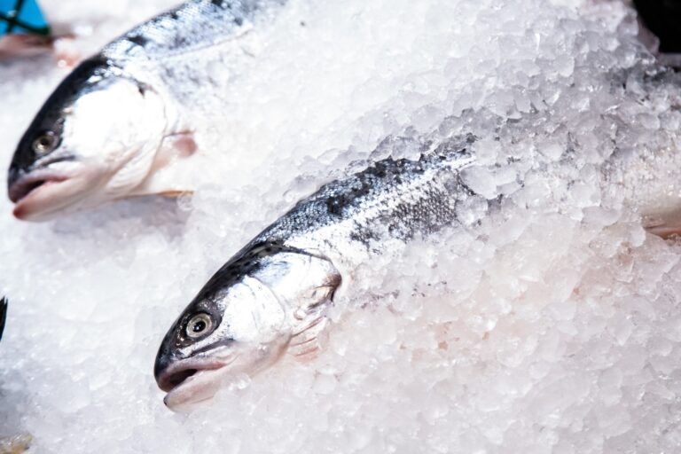 ��������������� ������: ����������� ����������� �� 34% � ������ 2026 ����