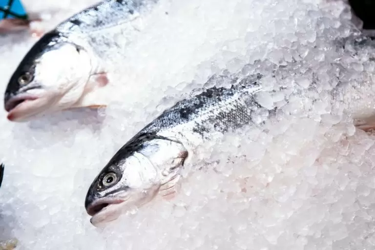 Дальневосточный минтай: неожиданное подорожание на 34% в апреле 2026 года