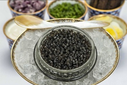 Необычный факт о масленице: 50 тонн икры в Петербурге