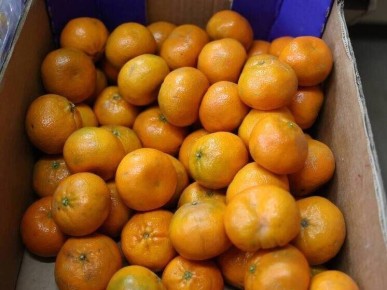 ������ �������� ��� ��������� �������