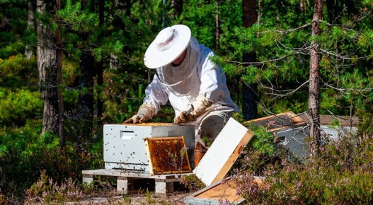 ���������� ������������ ���� �� ������ ����� ����������� �� ������ ����