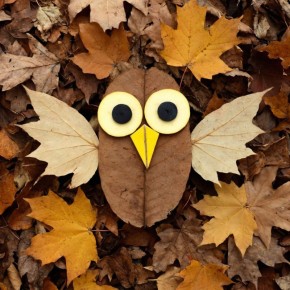 Кленокрыл, Кленоклюв, Кленоглаз...