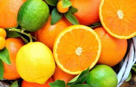 ������ � �����, ������� ������� �������������� ������