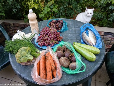 �� ����� �� ���������: ����������� ����������� � ������ � �������