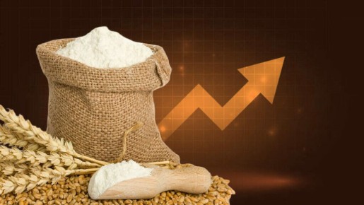 ���� ��� �� ���� � ����������: ����� ����� � �������