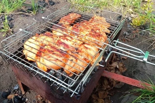 Опасные угощения: шашлык для домашних животных под запретом