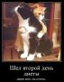 Второй день осознанного питания и первый на кето: как похудение стало целью